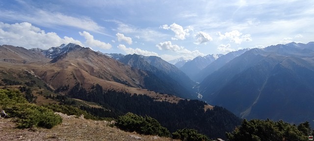 img00055.jpg