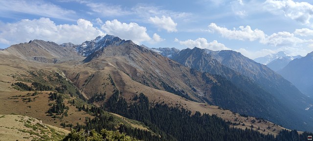 img00059.jpg
