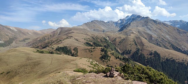 img00061.jpg