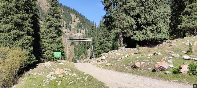 img00037.jpg