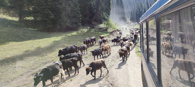 img00038.jpg