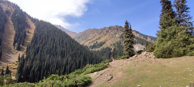 img00047.jpg