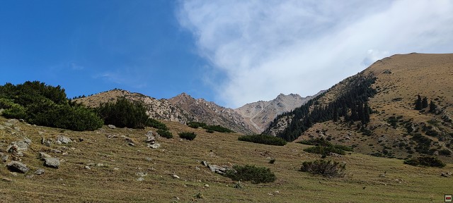 img00049.jpg