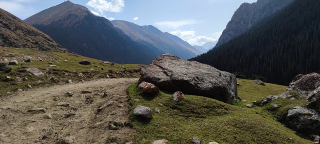img00051.jpg