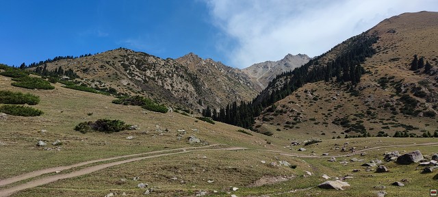 img00052.jpg