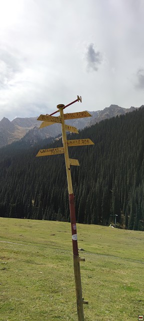 img00061.jpg