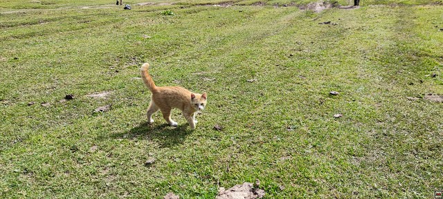 img00063.jpg