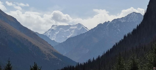 img00064.jpg