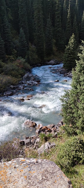 img00080.jpg