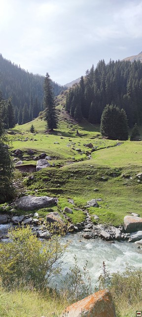 img00087.jpg