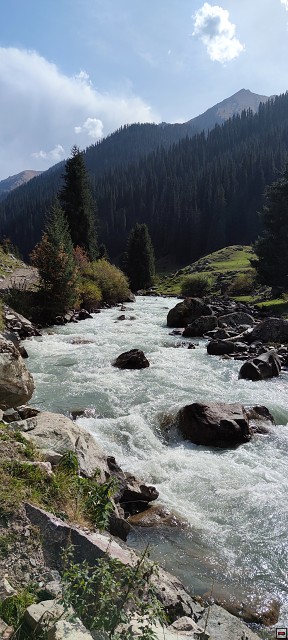 img00088.jpg