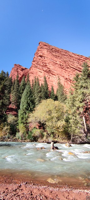img00007.jpg