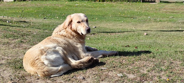 img00010.jpg