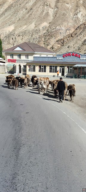 img00006.jpg