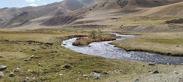 img00032.jpg