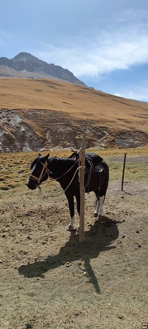 img00049.jpg