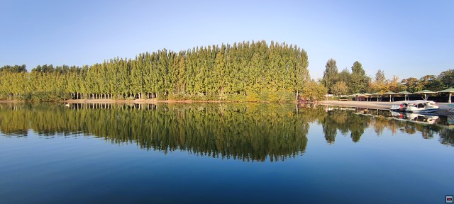 img00008.jpg