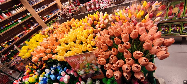 img00001.jpg
