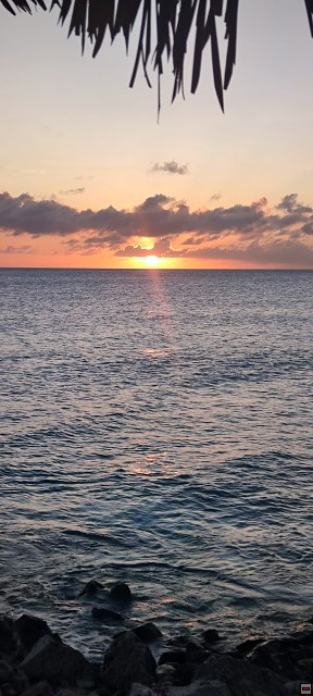 img00005.jpg