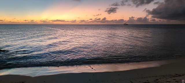 img00007.jpg