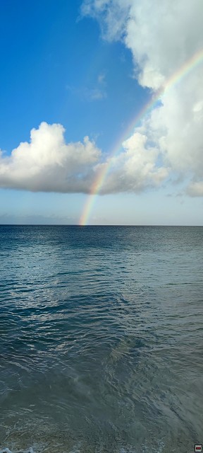 img00010.jpg