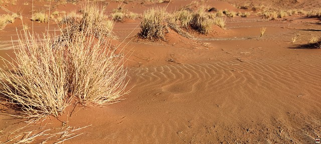 img00016.jpg