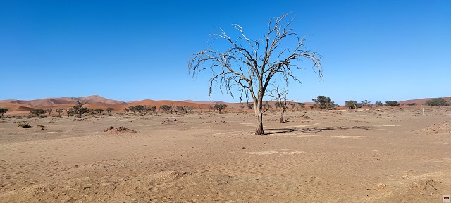 img00017.jpg