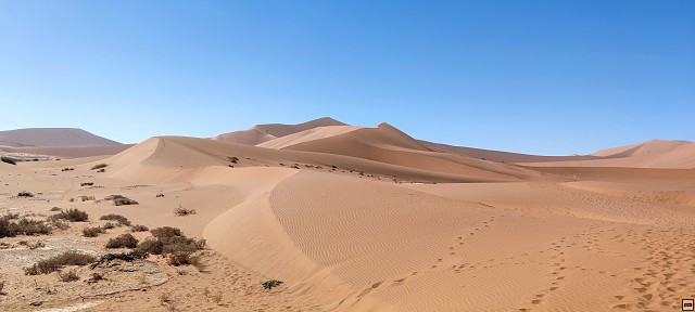 img00020.jpg
