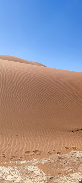 img00022.jpg
