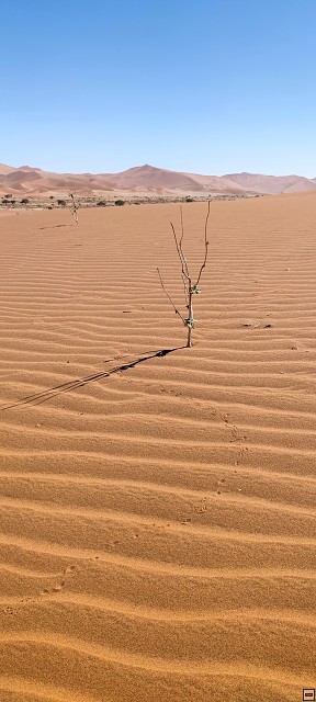 img00024.jpg