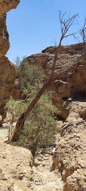 img00079.jpg