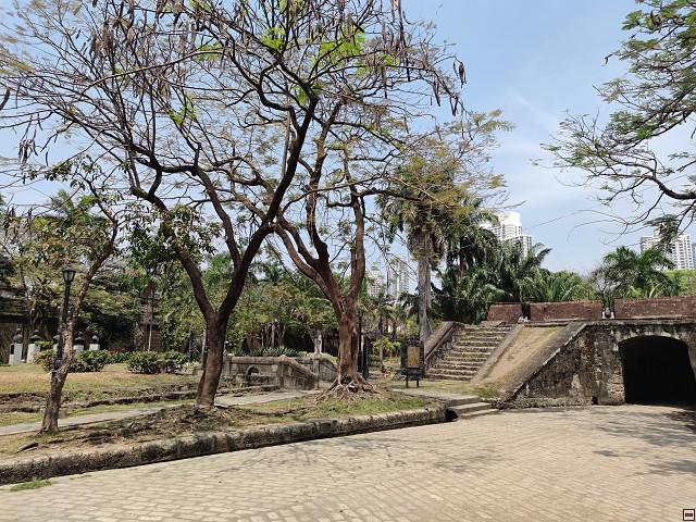 img00020.jpg