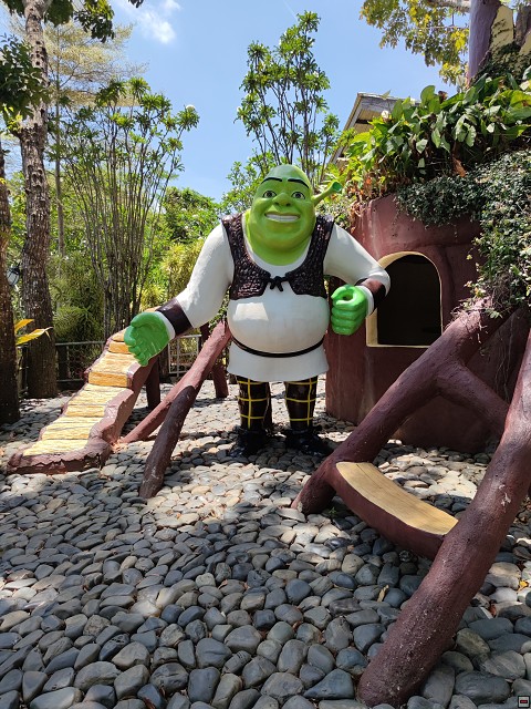 img00020.jpg