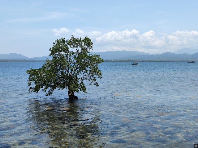 img00027.jpg