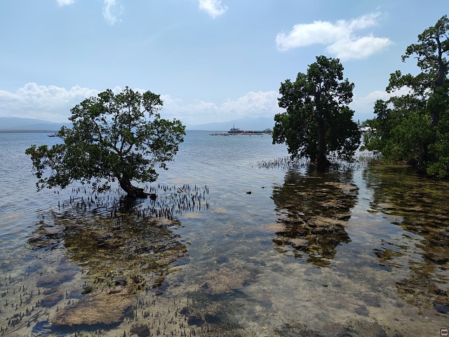 img00030.jpg