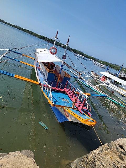 img00001.jpg