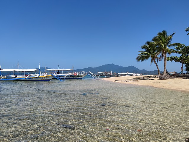 img00013.jpg