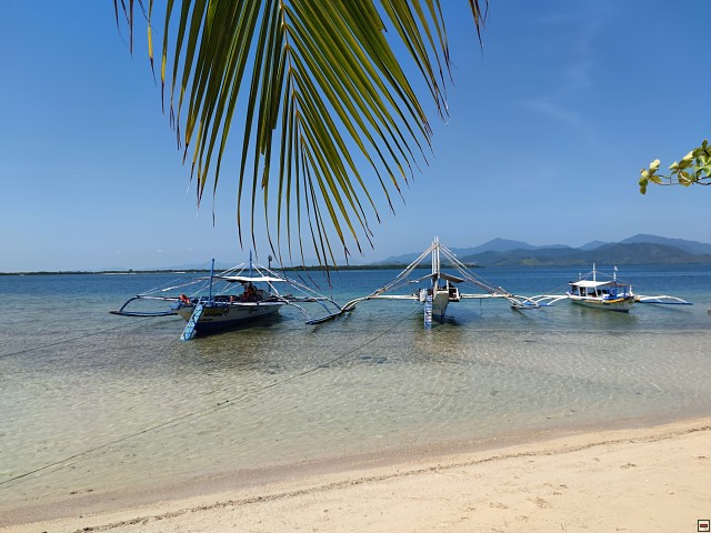 img00024.jpg