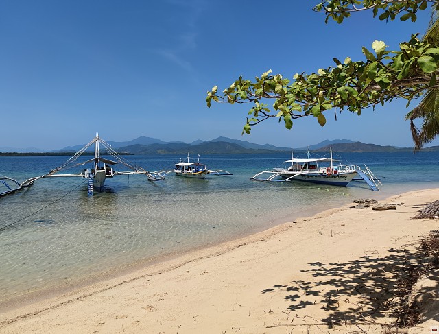 img00025.jpg