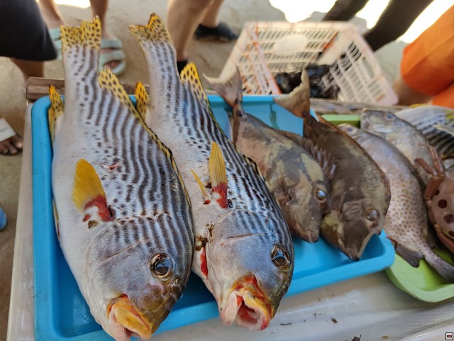 img00033.jpg