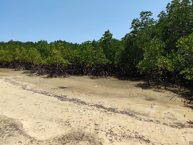 img00036.jpg