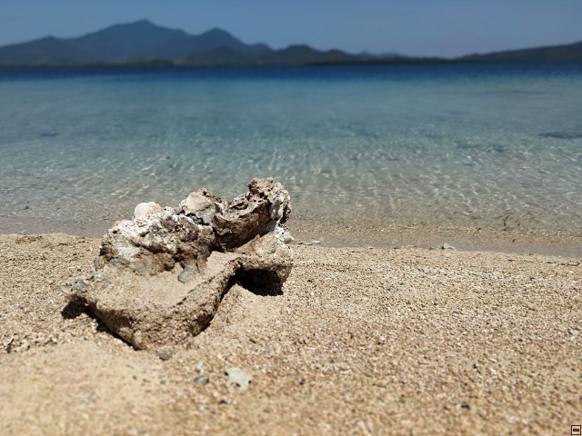 img00040.jpg