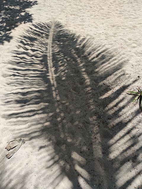 img00042.jpg
