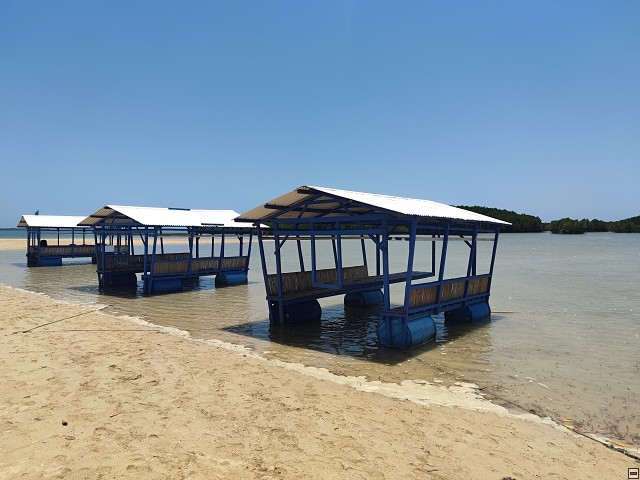 img00051.jpg