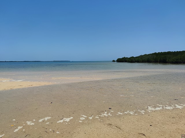 img00055.jpg