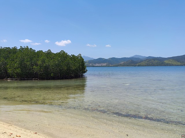 img00061.jpg