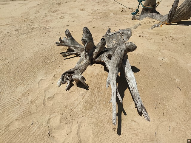 img00067.jpg