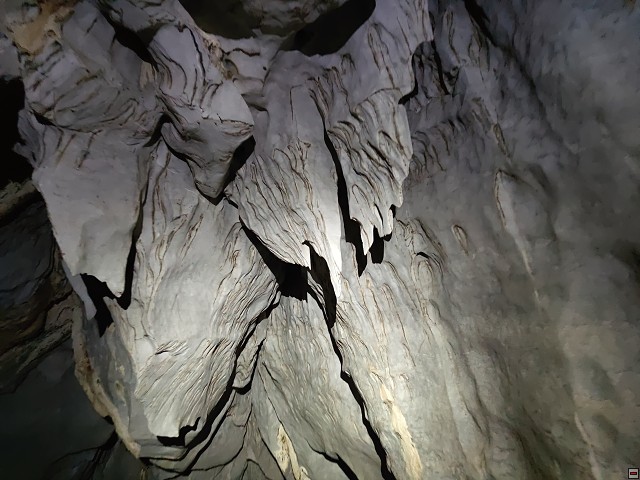 img00037.jpg