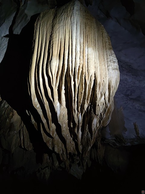 img00046.jpg
