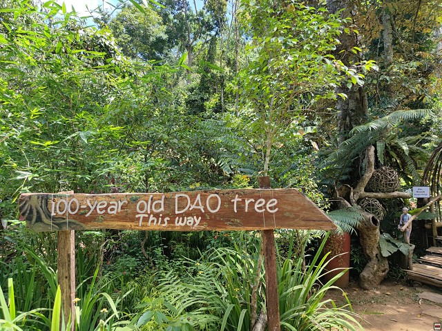img00059.jpg